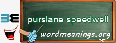 WordMeaning blackboard for purslane speedwell